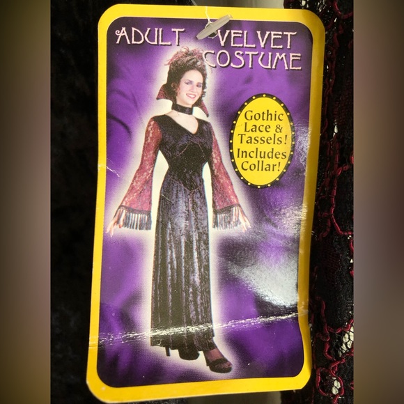 Gothic Velvet Gown Halloween Costume - Picture 1 of 9